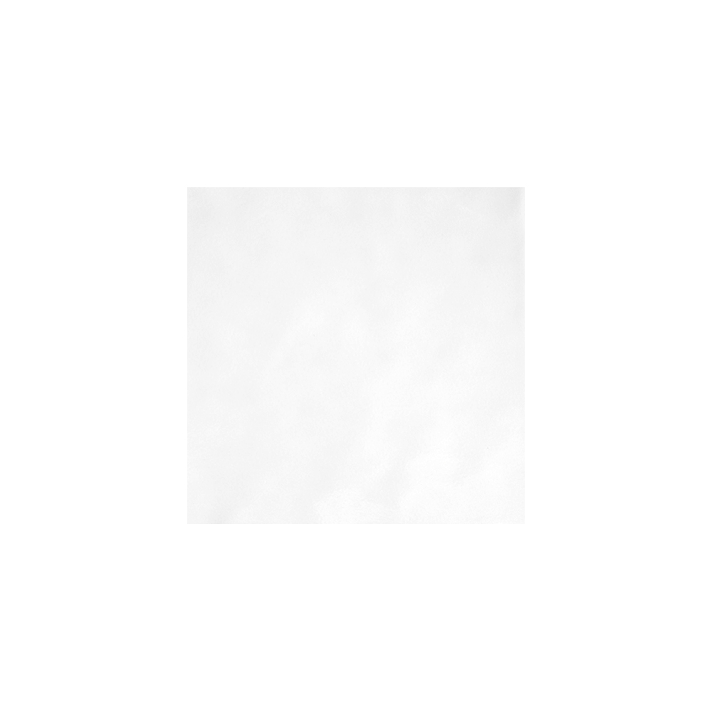 PISO OASIS BLANCO 20X20 C*2.00M ALFA